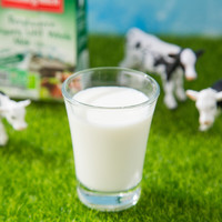 88VIP：SalzburgMilch 萨尔茨堡 3.3g蛋白质 全脂有机牛奶