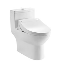 MOEN 摩恩 黑洞系列 SW4091C1 连体智能坐便器 305mm坑距