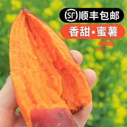2021年05月06日0点红心甜蜜薯
