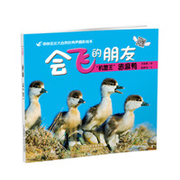 《会飞的朋友·“机警王”赤麻鸭》