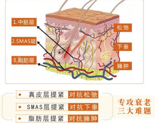 奢己 热拉提 以色列飞顿正规仪器 