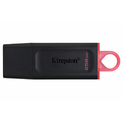 Kingston 金士顿 DTX USB3.2 Gen1 U盘 256GB 配挂绳