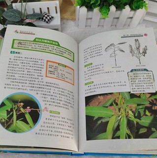 《七彩书坊·植物百科全书》（超值彩图版、精装）