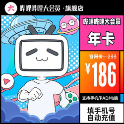 bilibili 哔哩哔哩 大会员12个月