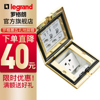 TCL-legrand TCL-罗格朗 罗格朗 黄铜面板五孔地插座