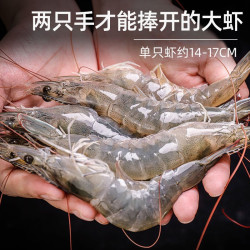 青山哥 青岛海捕大虾4斤装15-18CM