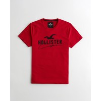 HOLLISTER 霍利斯特  306350-1 男士t恤