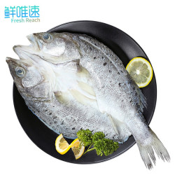 鲜唯速 珠海特产 三去白蕉海鲈鱼 1kg