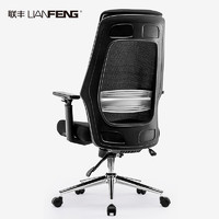 LIANFENG 联丰 DS-180A 人体工学电椅