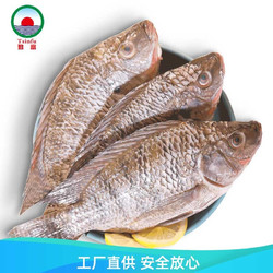 勤富 海南三去罗非鱼鲷鱼1.5kg