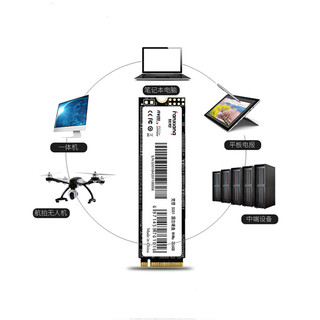 FANXIANG 梵想 S501 NVMe M.2固态硬盘 1TB（PCI-E3.0）