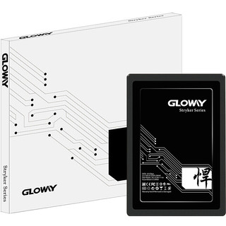 GLOWAY 光威 悍将 SATA 固态硬盘 240GB（SATA3.0）STK240GS3-S7