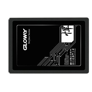 GLOWAY 光威 悍将 SATA 固态硬盘 240GB（SATA3.0）STK240GS3-S7