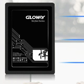 GLOWAY 光威 悍将 SATA 固态硬盘 240GB（SATA3.0）STK240GS3-S7