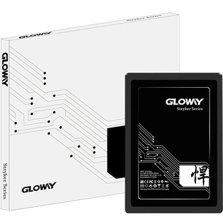 GLOWAY 光威 悍将 SATA 固态硬盘 960GB（SATA3.0）STK960GS3-S7
