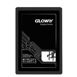 GLOWAY 光威 捍将 SATA 固态硬盘 960GB（SATA3.0）