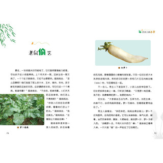 《植物王国里的本草故事·舌尖上的本草》（精装）