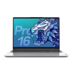 Lenovo 联想 小新Pro 16 2021款 16英寸笔记本电脑（i5-11300H、16GB、512GB、MX450、2.5K、100%sRGB、雷电4）