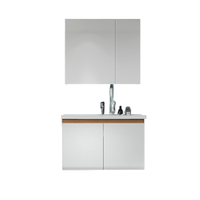 HEGII 恒洁 HBM506023/24N-0800E 时尚浴室柜组合