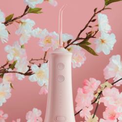 ROAMAN 罗曼 W10 电动冲牙器 樱花粉