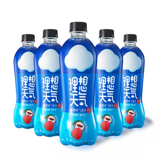 理想天气   苏打气泡水 0糖0脂0卡 海盐荔枝味450ml*5瓶