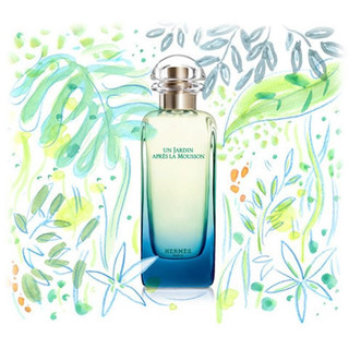 HERMÈS 爱马仕 雨后花园中性淡香水 EDT 50ml