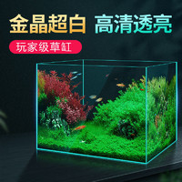 DAODANGUI 捣蛋鬼 超白玻璃鱼缸小型桌面生态金鱼缸中小型水草缸懒人免换水迷你创意家用客厅造景缸