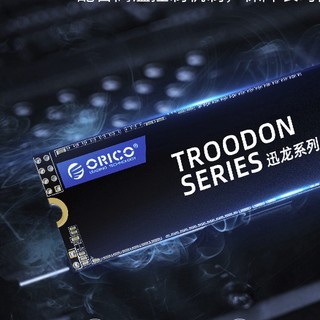 ORICO 奥睿科 迅龙 N300 M.2 固态硬盘 128GB（SATA3.0）