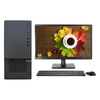 Lenovo 联想 扬天 T4900K 十代酷睿版 21.5英寸 商用台式机 黑色（酷睿i5-10400、核芯显卡、8GB、128GB SSD+1TB HDD、风冷）