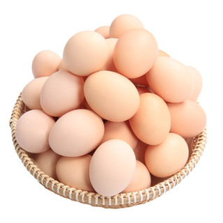 白荡里 农家散养土鸡蛋 10枚 单枚约30-40g