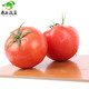 寿光蔬菜   西红柿 2.5kg