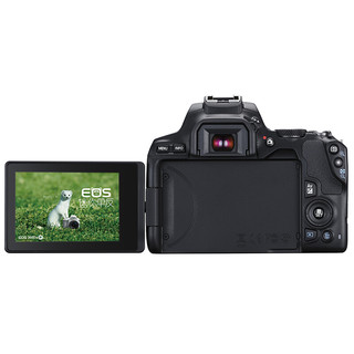 Canon 佳能 EOS 200D II APS-C画幅 数码单反相机 黑色 EF-S 18-55mm F4 IS STM 变焦镜头 单镜头套机