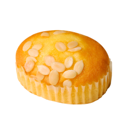 巴比熊 提子蛋糕 520g