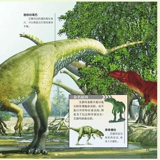 《恐龙星球·探寻古生物传奇》