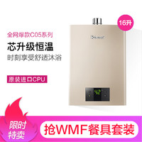 Rinnai 林内 JSQ31-C05燃气热水器 升级恒温 强排式家用