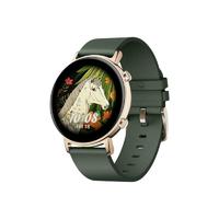 HUAWEI 华为 WATCH GT 2 秘境IP款 智能手表 42mm 银色不锈钢表壳 森林绿皮革表带 (GPS、血氧、心率)