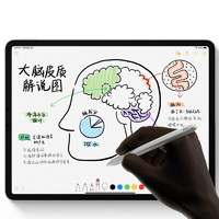 Apple 苹果 Pencil 二代 触控笔