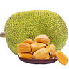沂蒙花果山 越南菠萝蜜 4kg-5kg