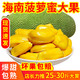 海南菠萝蜜黄肉新鲜水果包邮10-30斤三亚一整个40树菠萝非红肉果