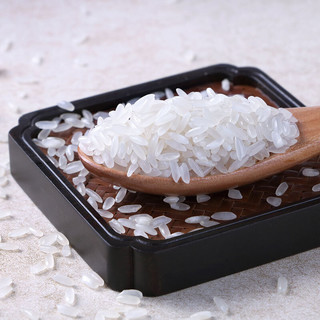 SHI YUE DAO TIAN 十月稻田 稻花香 五常有机米