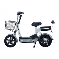 SUNRA 新日 小派克 电动自行车 TDT4580Z 48V12AH铅酸电池 燕尾灰 青春版