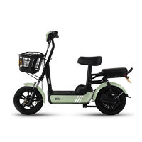 SUNRA 新日 多麦 电动自行车 TDT4471Z 48V12Ah铅酸电池 牛油果绿 简约版