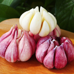 产地直发河南大蒜约5斤新鲜蒜头多瓣蒜嫩蒜新鲜紫白皮蒜头