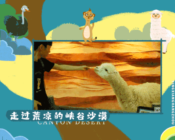 评论有奖：杭州｜酷嗒动物园，体验萌宠动物的亲密接触。