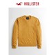 HOLLISTER 霍利斯特 Hollister春季轻薄圆领针织衫 男 306732-2