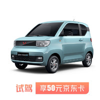 WULING 五菱汽车 定金 宏光MINIEV 试驾送50元京东卡