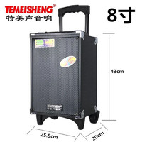 TEMEISHENG 特美声 A8-2T 蓝牙移动扩音播放器 8英寸