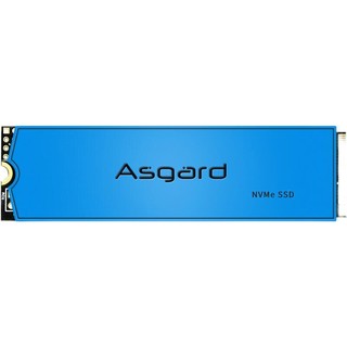 Asgard 阿斯加特 AN3 NVMe M.2 固态硬盘 500GB（PCI-E3.0）