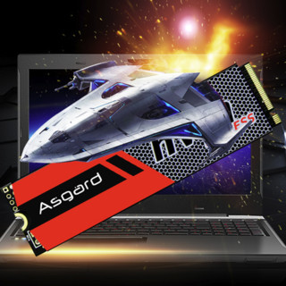 Asgard 阿斯加特 AN NVMe M.2 固态硬盘 1TB (PCI-E3.0)