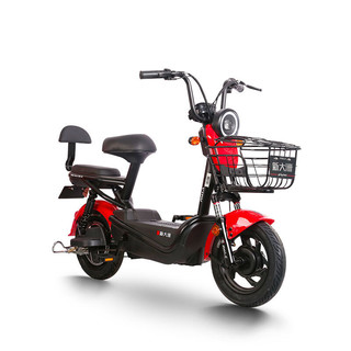 PALLA 新大洲 B1 新国标电动自行车 TDT603-1Z 48V20Ah锂电池 黑红